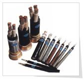 ʯ������Ȼ���ÿ��ƹܾ�